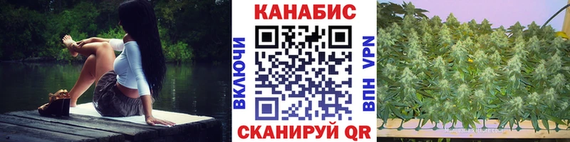 Бошки марихуана THC 21%  Касли 
